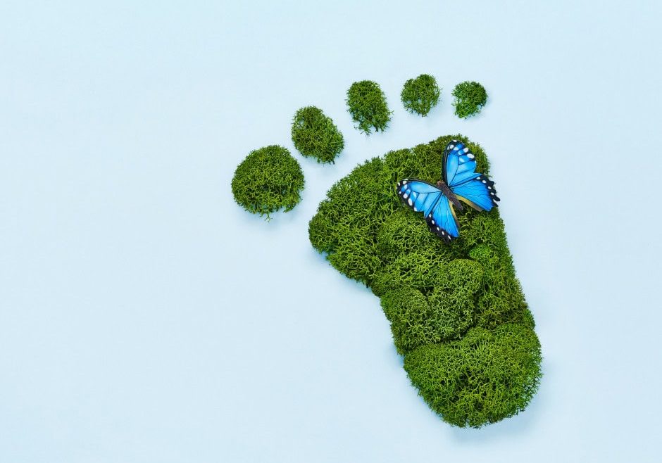 WS - Why Sustainability Matters to Us here at Wild Spirit